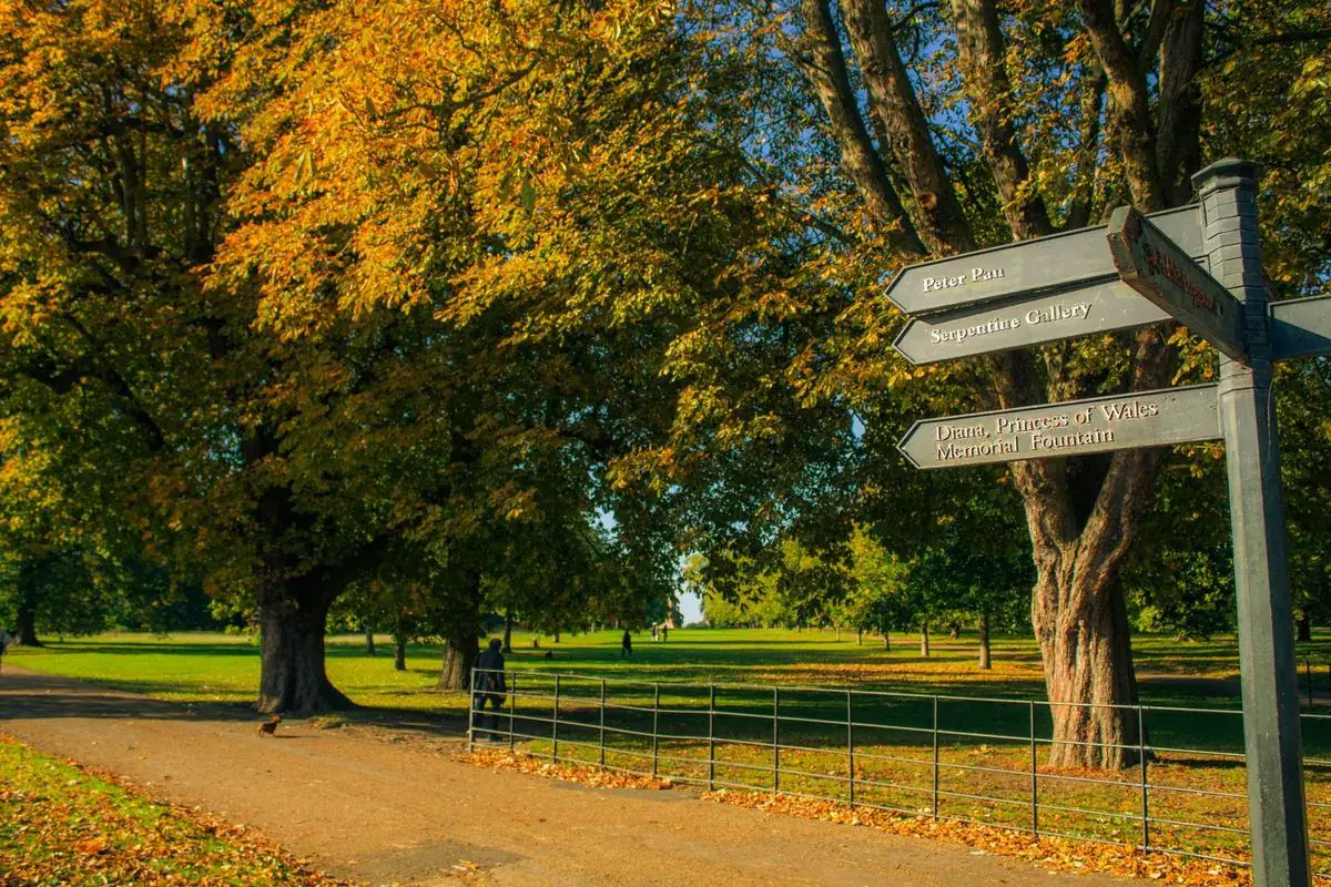Kensington Gardens in autumn, a short walk from Bayswater